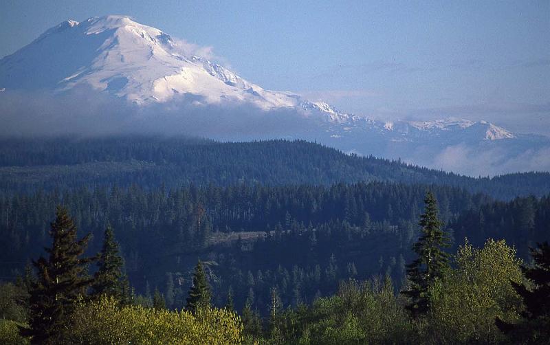 1995-05 White Salmon Jeanne and Steves Cabin 06.jpg